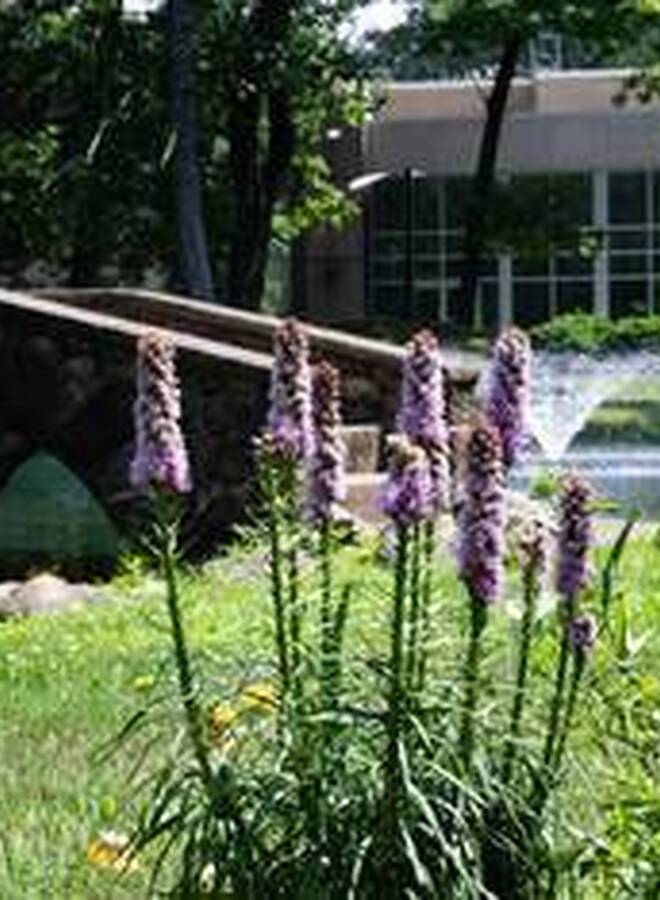 Learn more about Summer Work
