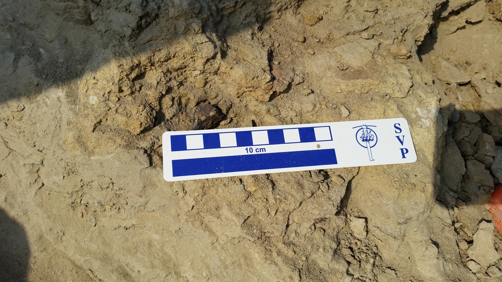#Beaumont Travels: Ekalaka, MT, Summer Dino Dig Program, Day 2