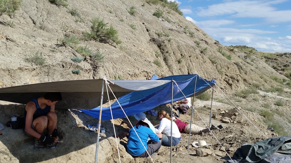 #Beaumont Travels: Ekalaka, MT, Summer Dino Dig Program, Day 3